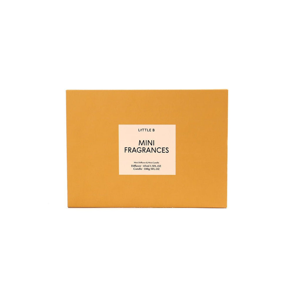 Apple Cider Scented Candle & Reed Diffuser Gift Pack